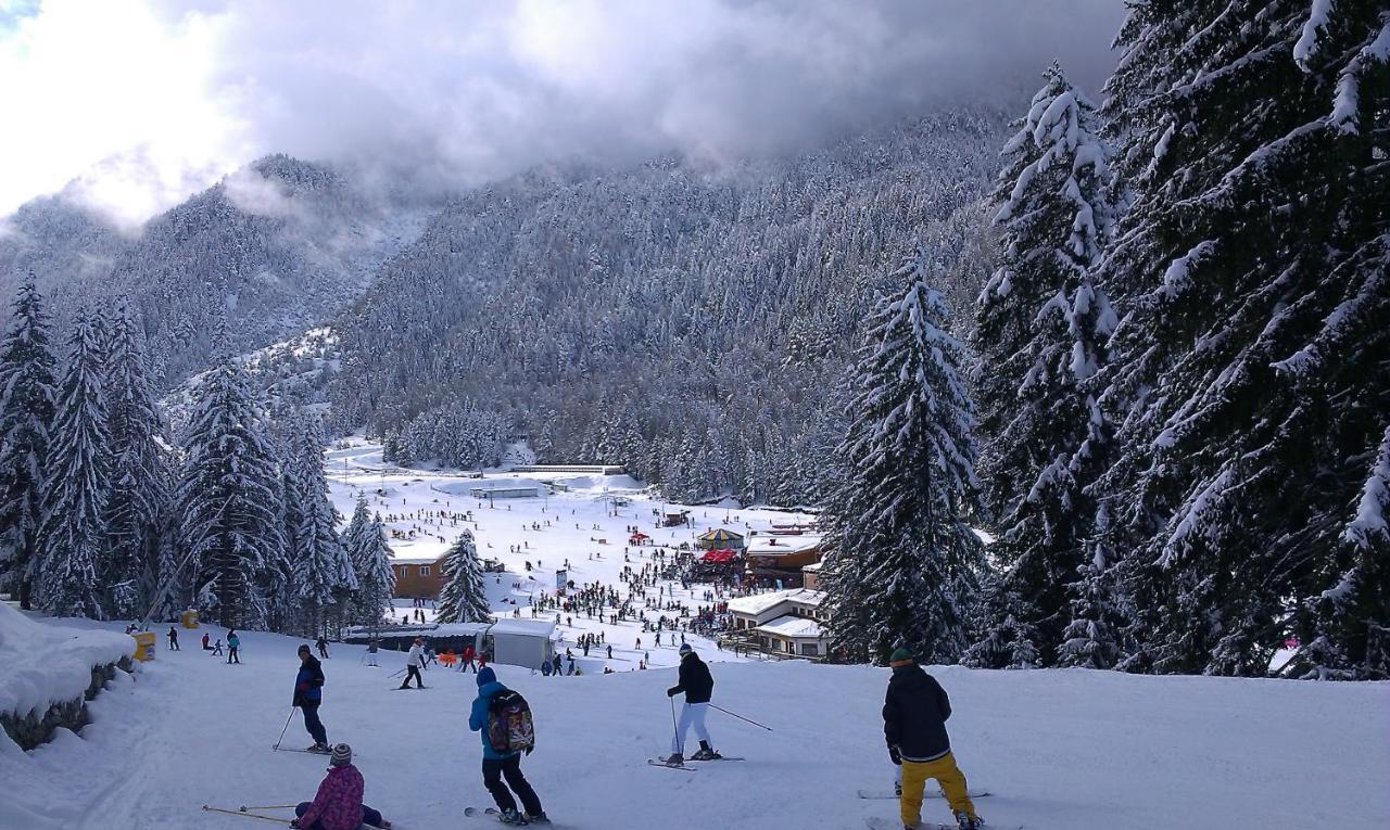 Aspen Studio Mountain Retreat At Aspen Resort Golf Ski & Spa Razlog Exterior foto